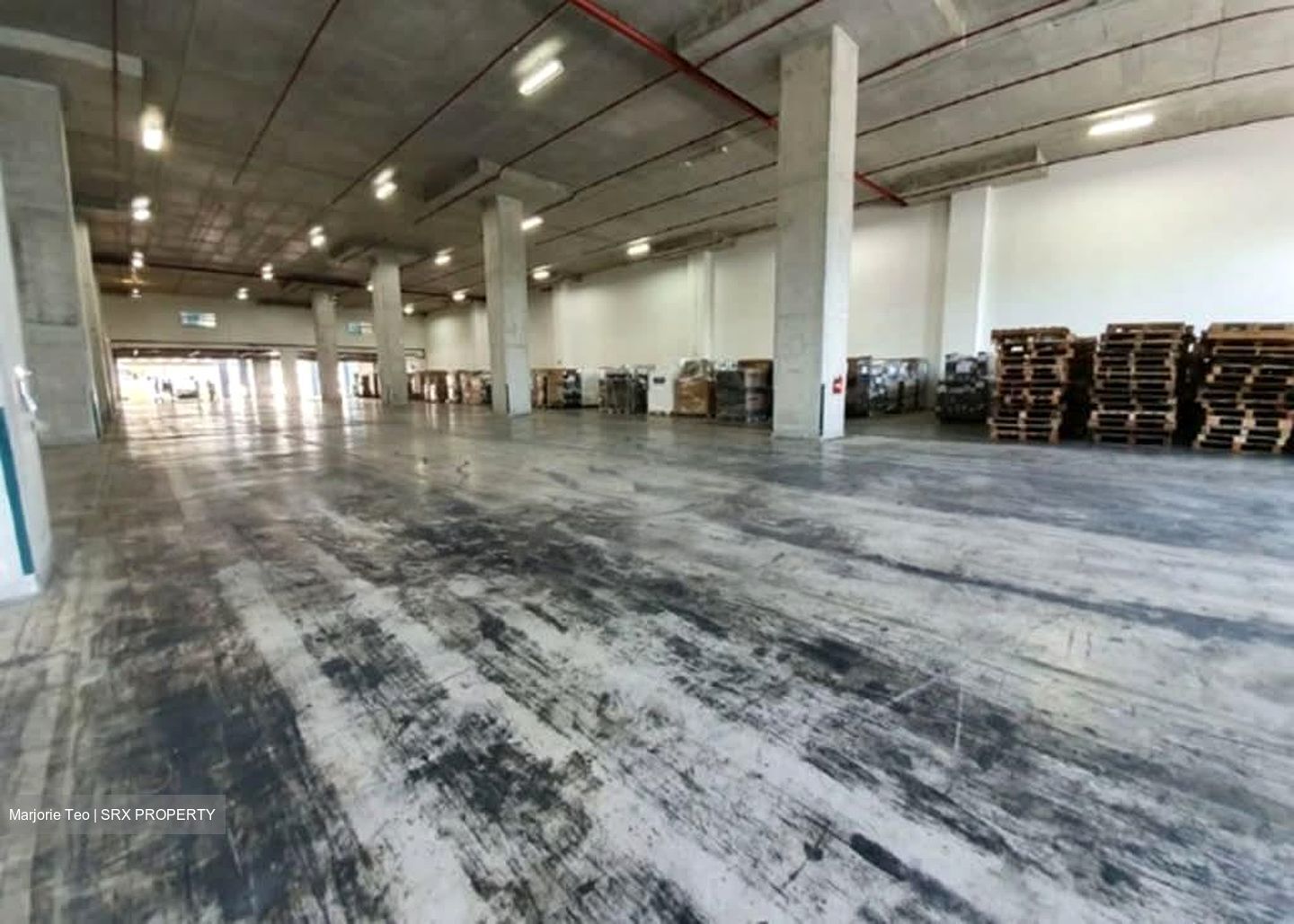 Changi North Way (D17), Warehouse #638720311